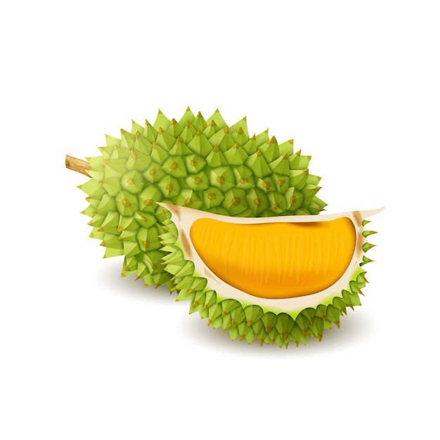 fresh kiwi fruit whole half and cut slice
