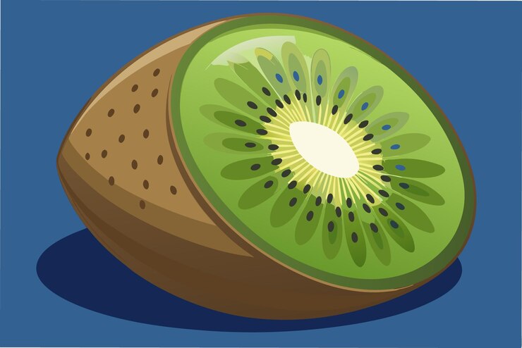 Vector fresh kiwi illustration on background perfect for design projects