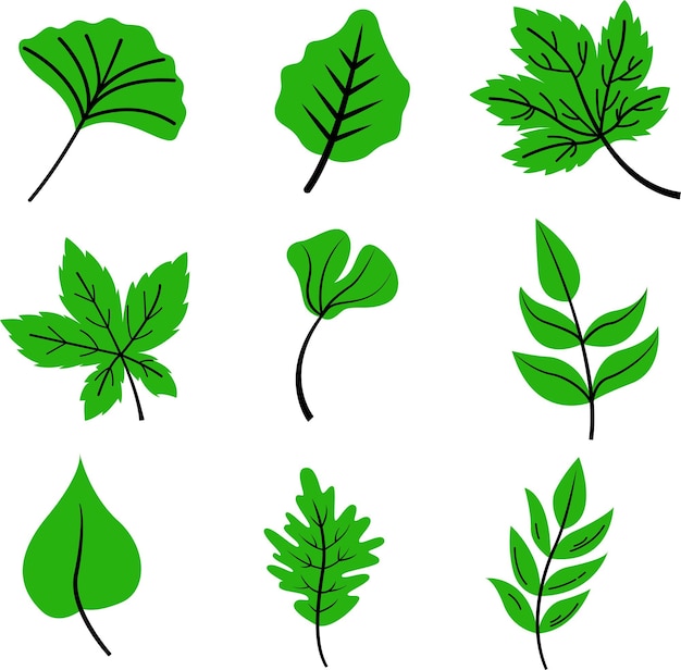 Vector fresh leaf and foliage of four seasons collection