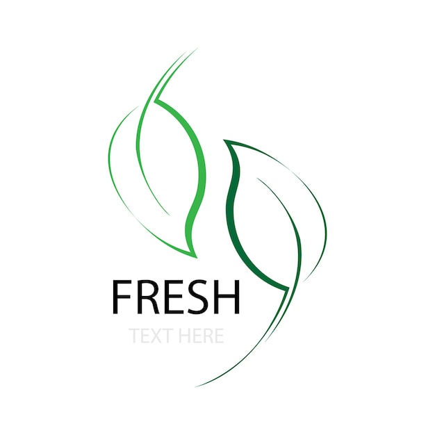 Vector fresh leaf template vector