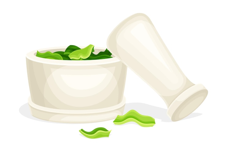 Vector fresh leaves of spirulina mortar and pestle healthy organic dietary supplement antioxidant superfood vector illustration