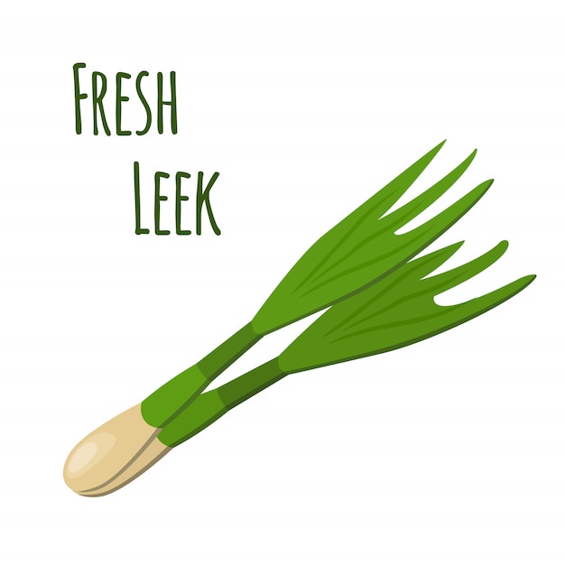 Fresh leek