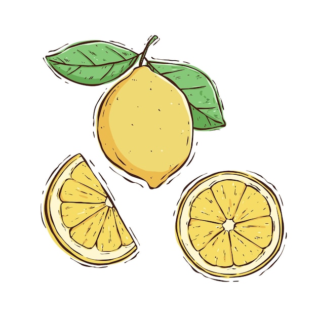 Collezione di limoni freschi con stile di disegno a mano colorato. illustrazione vettoriale di fetta di limone