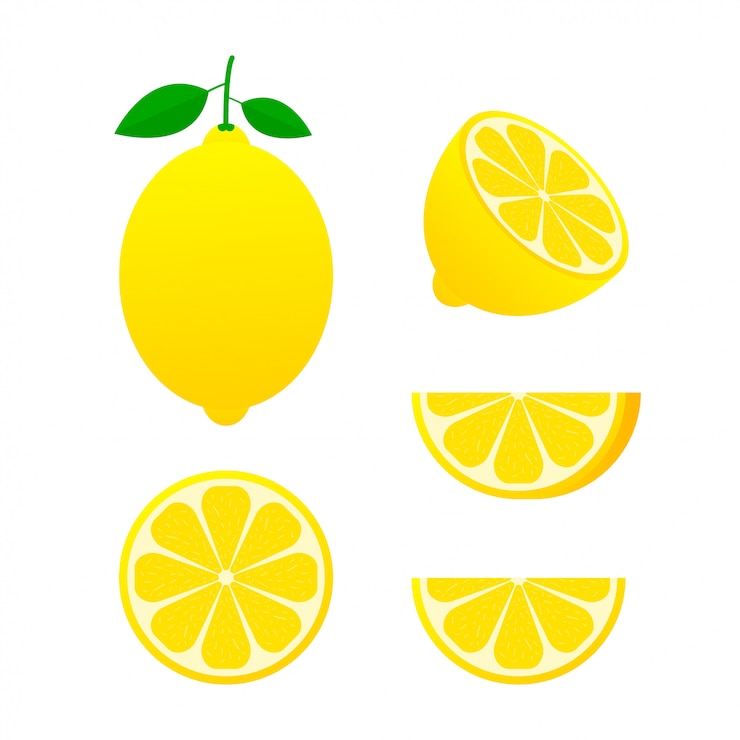 Vector fresh lemon fruits, collection of vector illustrations