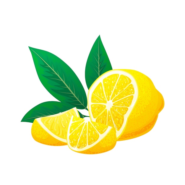 신선한 레몬, 잎과 레몬 조각. 로고 개념. 손으로 그린 그림 흰색 배경에 고립