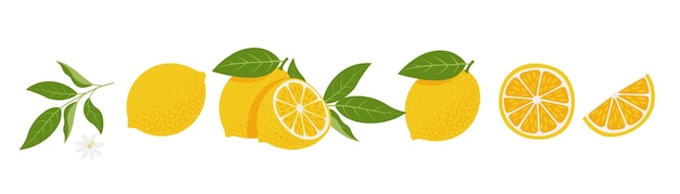 新鮮なレモン スライス セット シトラス ビタミン c 白い背景で隔離のベクトル図
