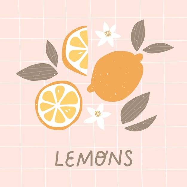 Vettore impronta di limoni freschi poster con agrumi foglie di fiori e frutta