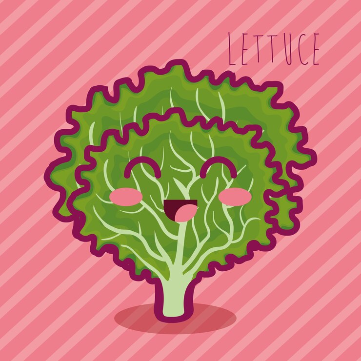 Vector fresh lettuce vegetable character 