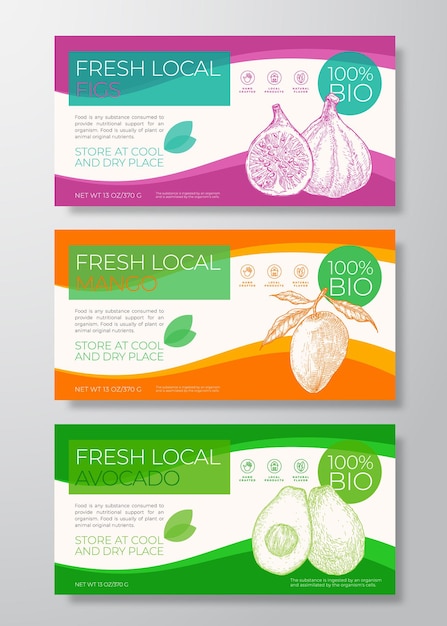 Set di modelli di etichette di frutta fresca locale. raccolta di layout di progettazione orizzontale di imballaggio vettoriale astratto. banner tipografia moderna con sfondi di schizzi di fichi, mango e avocado. isolato