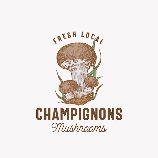 Fresh local mushrooms emblem template. hand drawn colorful champignons group