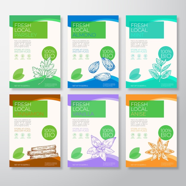 Fresh local nuts and spices labels packaging design layout collection vector background covers set 