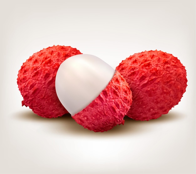 Vector fresh lychee fruit.