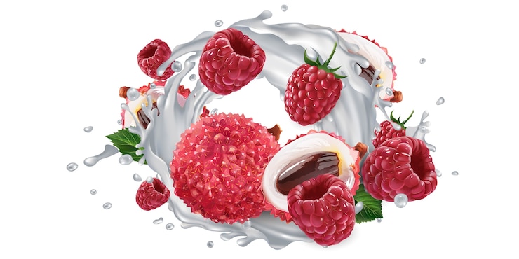 Vector fresh lychee and raspberries and a yogurt or milk splash on a white background. realistic illustration.