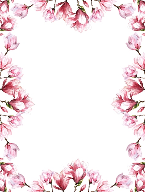 Vector fresh magnolia flower botanical watercolor illustration floral design petals blooming spring tropica