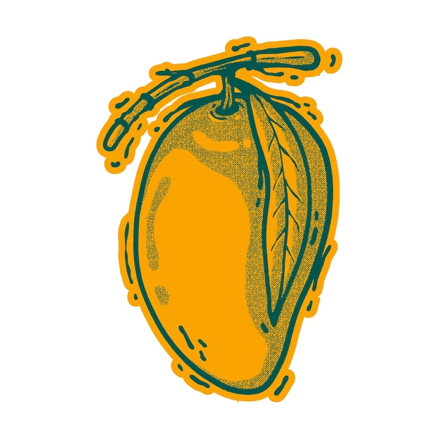 Fresh mango sketch hand draw techniqaue