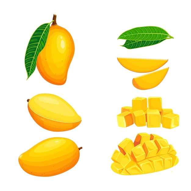 Vector fresh mango tropical fruit with green leaf isolated on white background vector eps 10