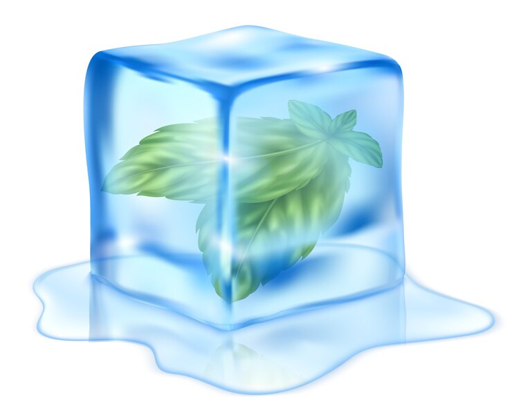 Vector fresh mint illustration in realistic style