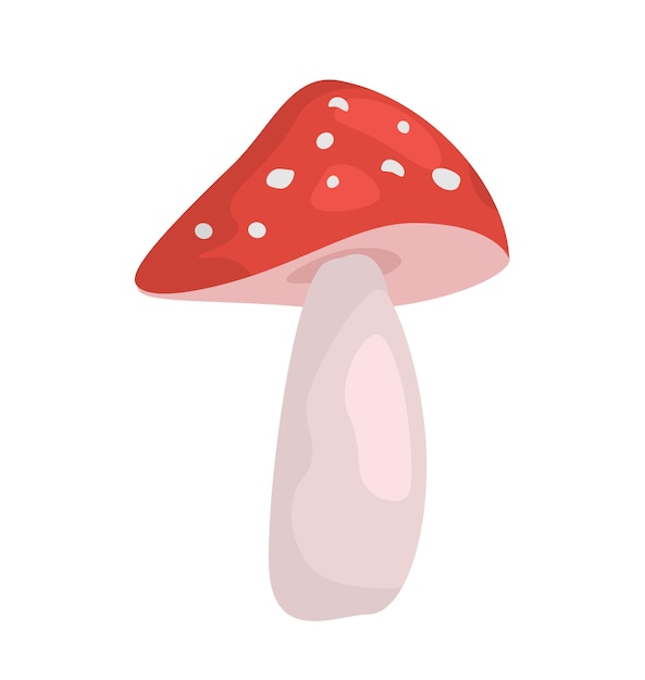 Fresh mushroom concept natural and organic plant red and white mushroom fly agaric harvest and crop