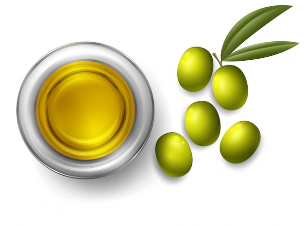 Vector fresh olive and olive oil