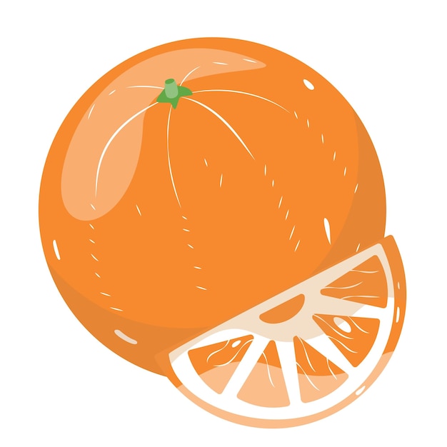 Fresh orange fruit. Orange slice, vector illustration. Vector illustration for design and print