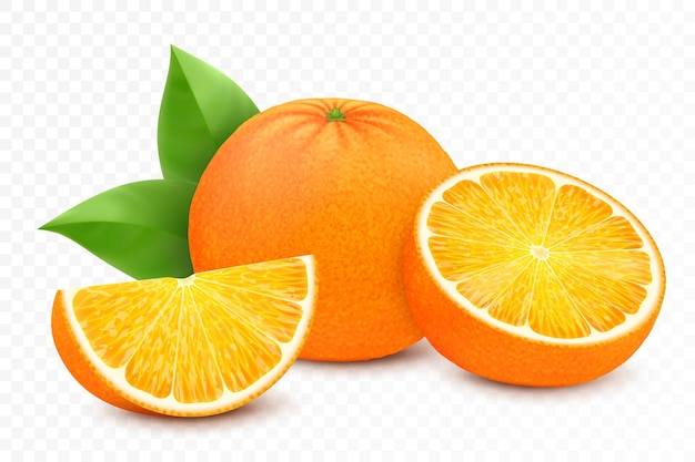 Vector fresh orange fruits juicy orange with leaves half slice and whole fruit isolated on white background realistic 3d vector illustration