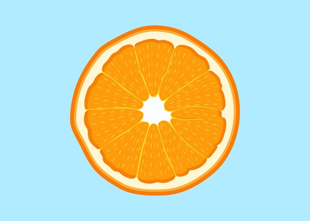 Vector fresh orange slices fruit cartoon vector illustration isolated