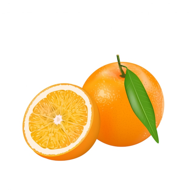 Vector fresh orange