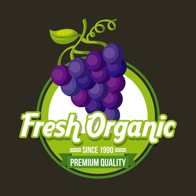 Vector fresh organic food emblem image