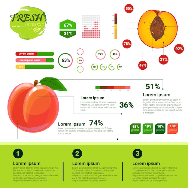 Свежая органическая инфографика рост натуральных фруктов, сельское хозяйство и сельское хозяйство