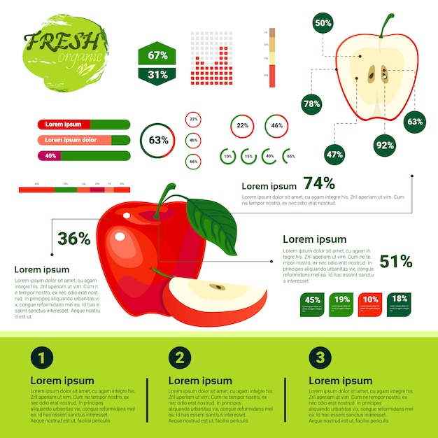 Vector fresh organic infographics natural fruits growth, agriculture and farming