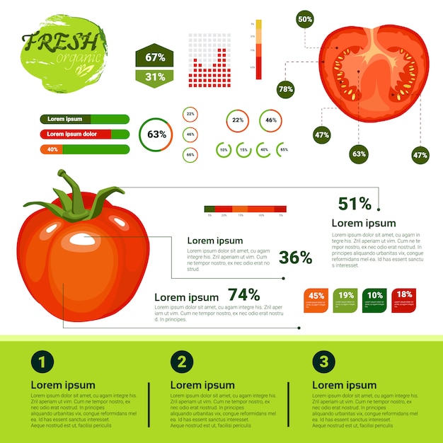 Crescita, agricoltura ed agricoltura naturali di vagetables di infographics organico fresco