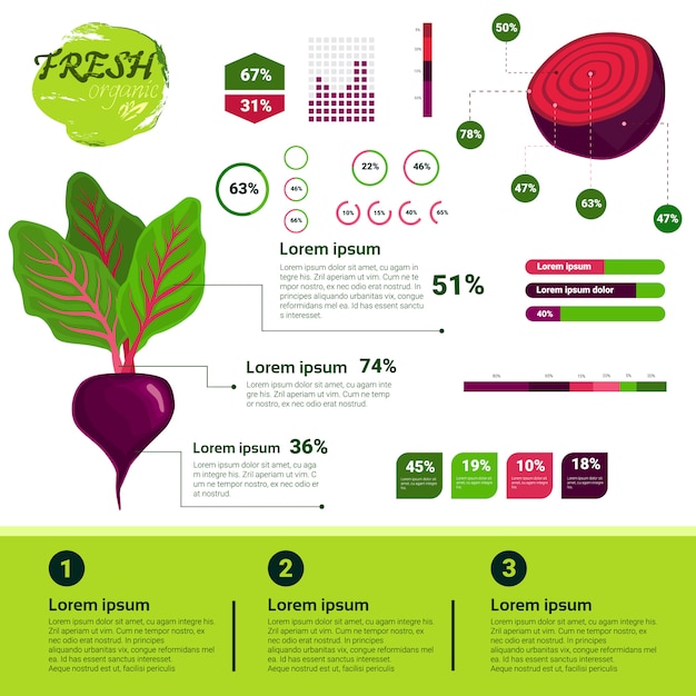 Fresh Organic Infographics Natural Vagetables Growth, Agriculture And Farming