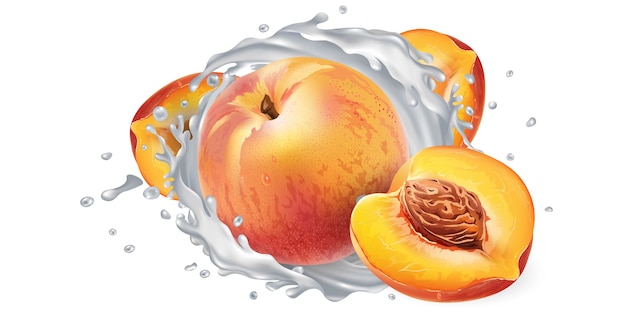 Vector fresh peaches and a yogurt or milk splash on a white background. realistic illustration.