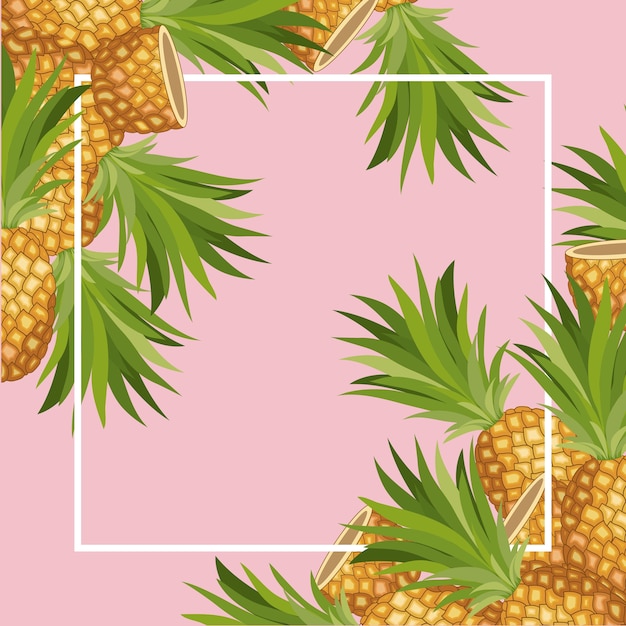 Vector fresh pineapple fruit tropical frame