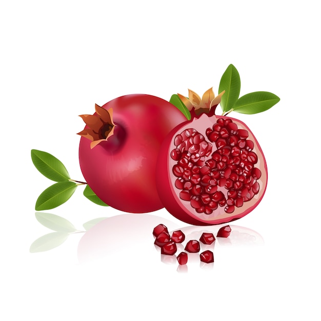 Vector fresh pomegranate fruits