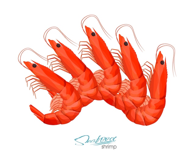 Fresh prawns Shrimp vector illustration in cartoon style isolated on white background