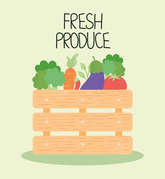 Fresh produce illustration