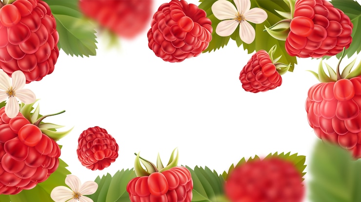Vector fresh raspberries with green leaves and white flowers