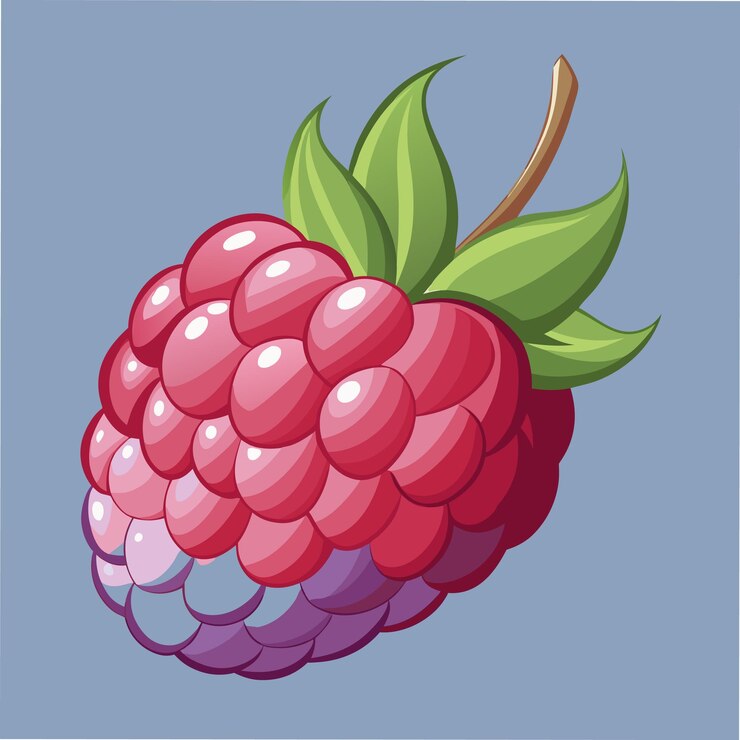 Vector fresh raspberry artwork ideal for food and fruit themes