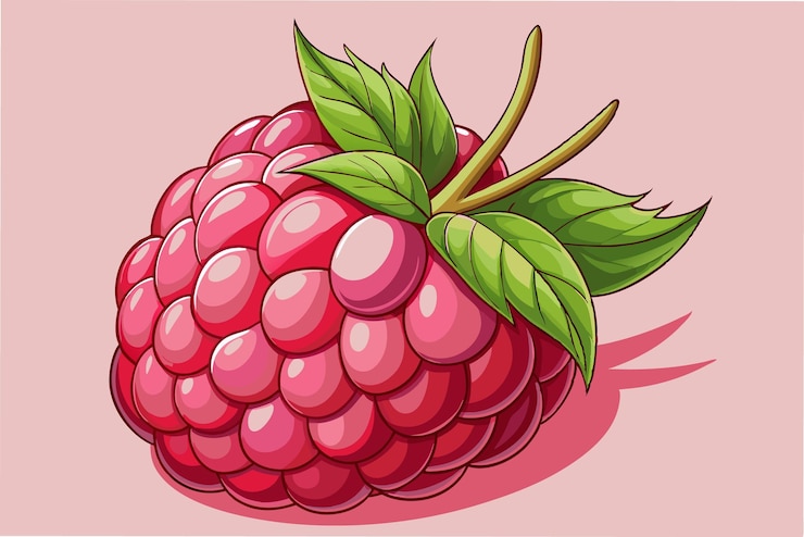 Vector fresh raspberry artwork ideal for food and fruit themes