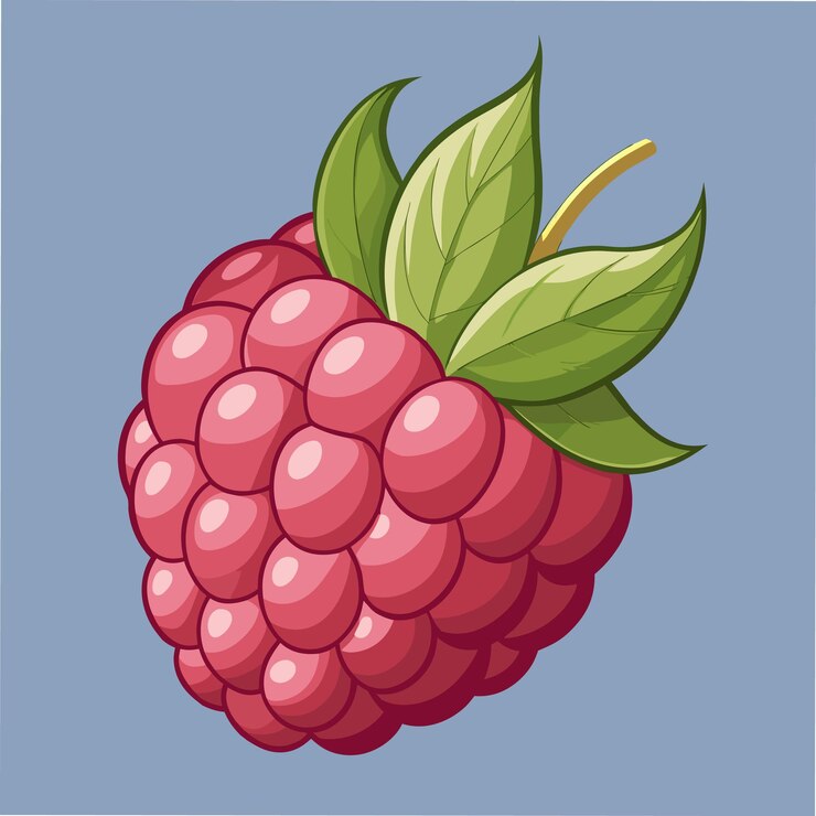 Vector fresh raspberry artwork ideal for food and fruit themes