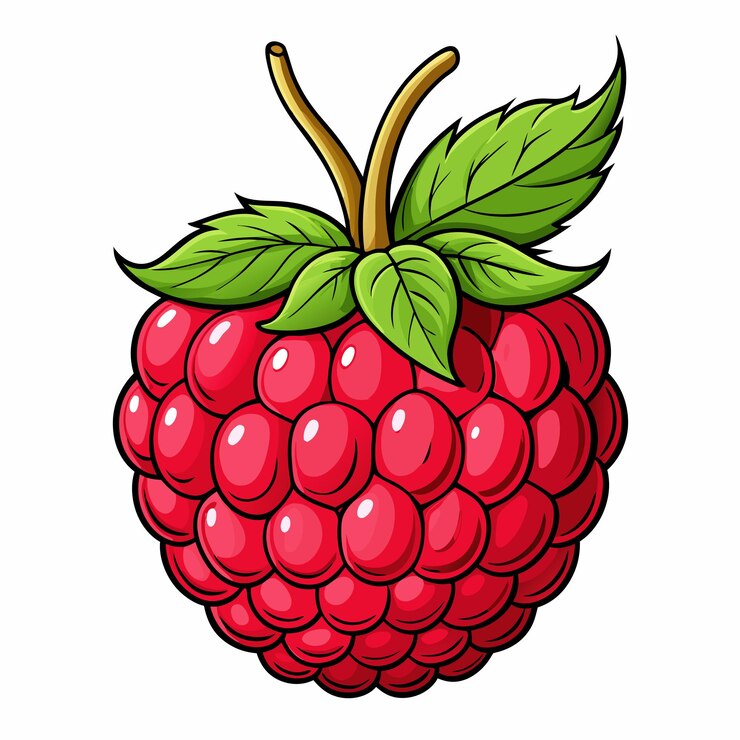 Vector fresh raspberry fruit vector graphic design