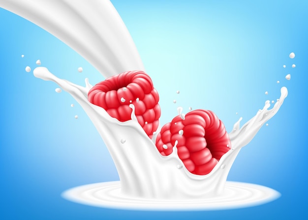 Fresh raspberry in a splash of milk or yogurt Fresh berry falls into the milk 3d realistic vector illustration isolated on blue background Sweet food Organic fruit