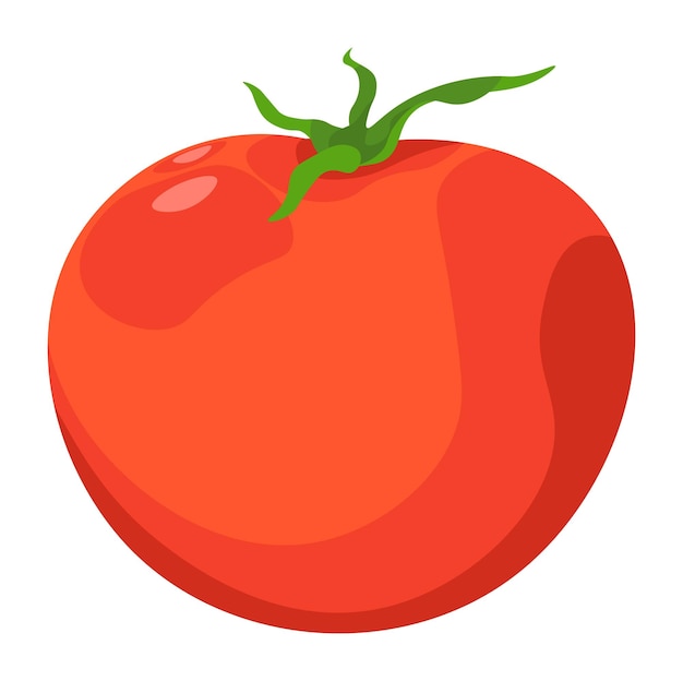 Fresh raw tomato vegetable natural food vector