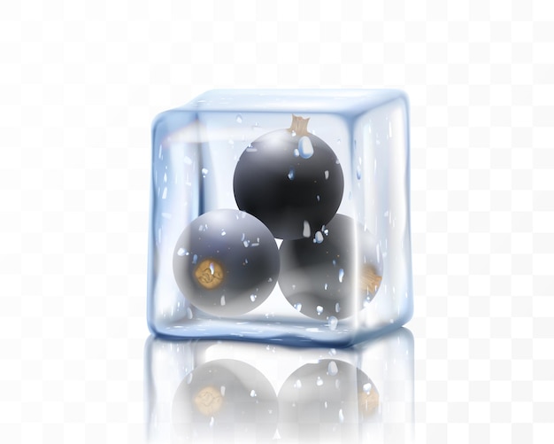 Vector fresh ripe black currant in ice cube isolated on transparent background frozen black currant berries realistic 3d vector illustration