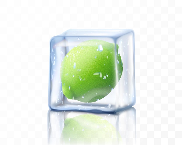 Vettore lime maturo fresco intero in cubetto di ghiaccio isolato su sfondo trasparente illustrazione vettoriale 3d realistica della calce congelata