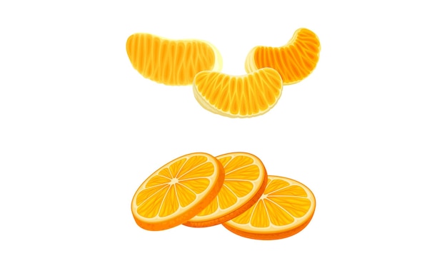 Fresh ripe mandarins set Peeled mandarin slices vector illustration