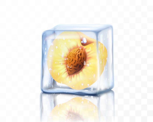 투명 한 배경에 고립 된 얼음 큐브에 신선한 잘 익은 복숭아 반 돌 현실적인 3d 벡터 일러스트와 함께 냉동 복숭아
