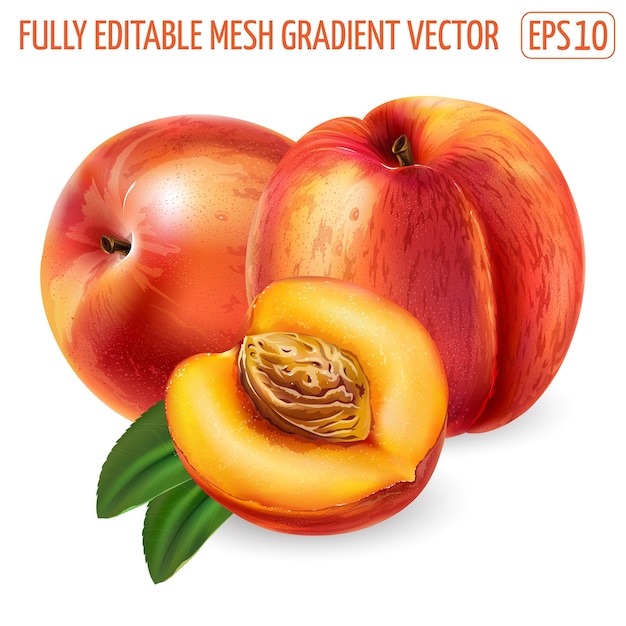 Fresh ripe peach - healthy food design. realistic illustration.