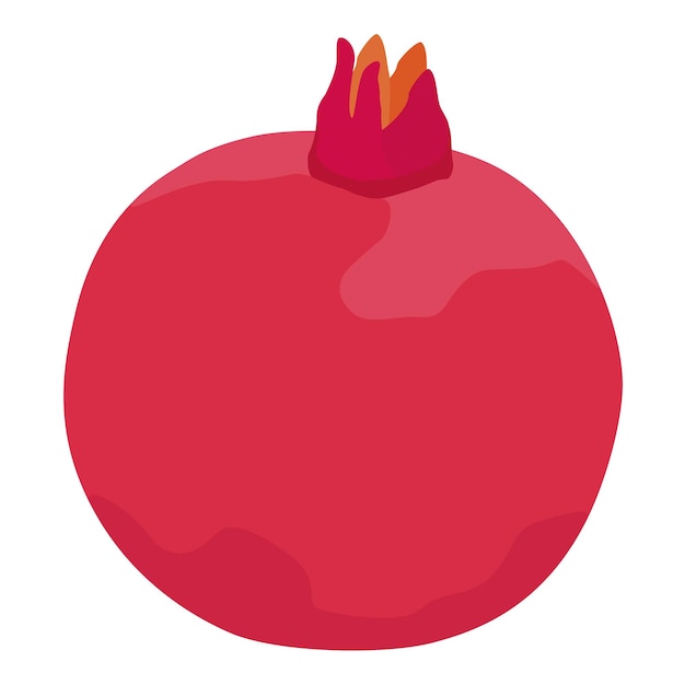 Fresh ripe pomegranate fruit vector